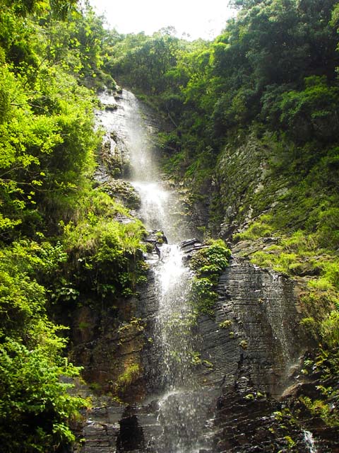 080523八草の滝のサムネール画像