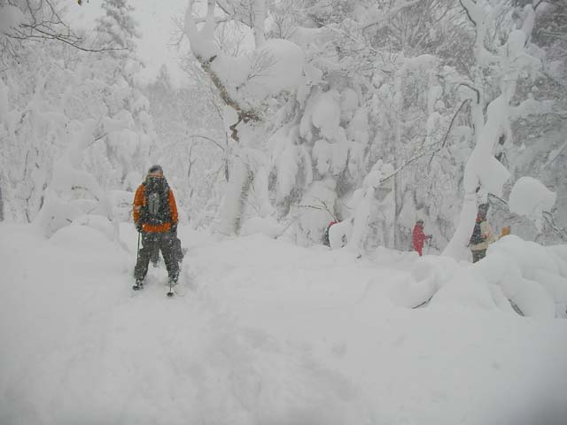 081231秋田八幡平スキー場　シークレットスポットへのサムネール画像