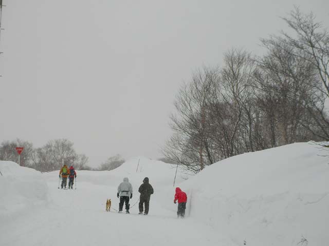 090101秋田八幡平スキー場へ、いつもの散歩道のサムネール画像