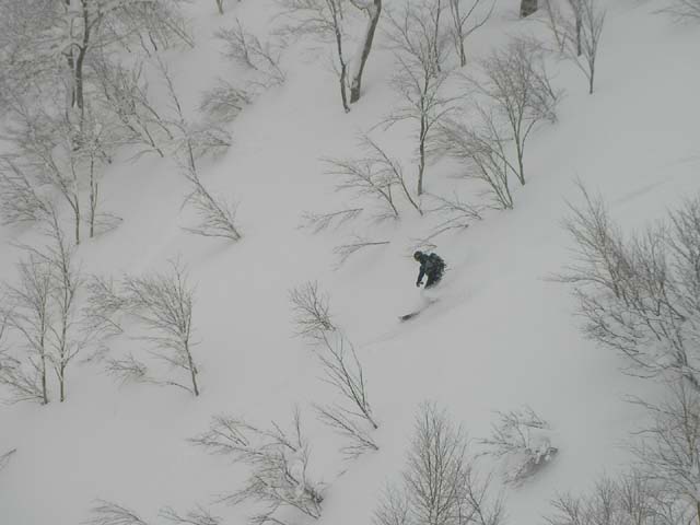 090101秋田八幡平スキー場　ふわふわスポットで3のサムネール画像