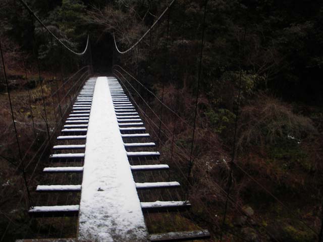 090112山仕事への吊橋のサムネール画像