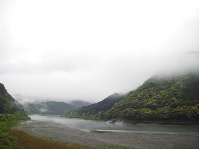 090421雨に萌える新緑の熊野川のサムネール画像