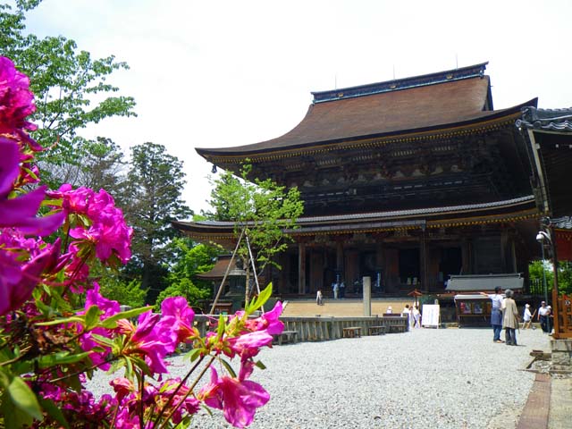090510ツツジの金峰山寺のサムネール画像