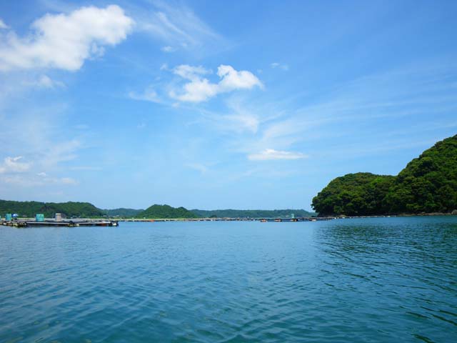 090715玉之浦の「ひおうぎ貝」養殖筏のサムネール画像