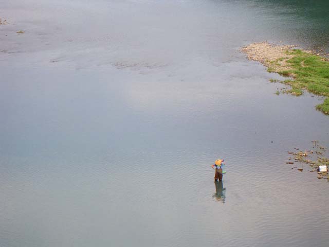 090716川の幸いっぱいの熊野川のサムネール画像